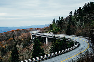 gray asphalt bridge, road, trees, landscape, North Carolina HD wallpaper