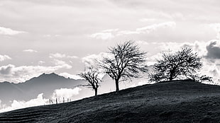 grayscale photo of landscape rural HD wallpaper