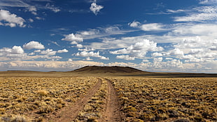 dirt road, nature, landscape HD wallpaper