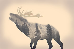 elk illustration, stags, animals, long exposure, forest HD wallpaper