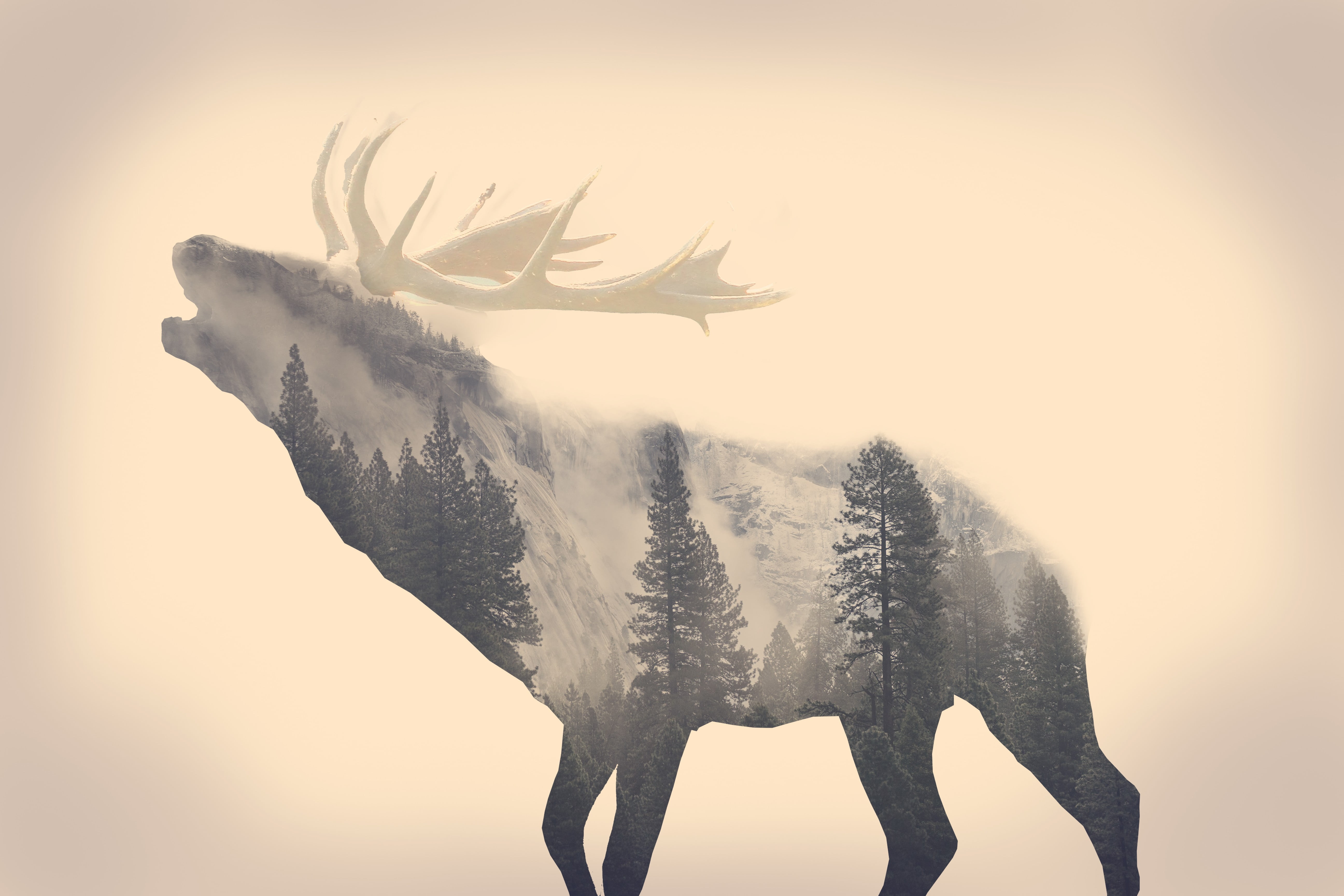 Elk illustration, stags, animals, long