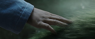 person's hand touching animal fur depth of field photo