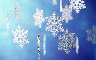 photo of snowflakes HD wallpaper