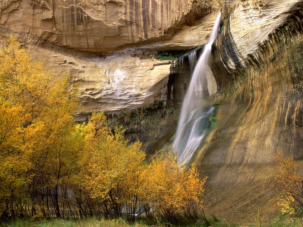 scenery of waterfalls during daytime HD wallpaper