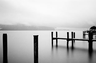 grayscale photo of docks, weggis, ilford