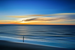 person standing on seashore under blue sky HD wallpaper