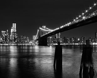 Brooklyn Bridge, New York, New York City, bridge, monochrome