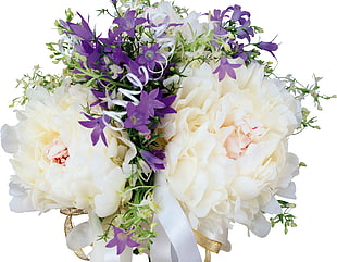 photo of white and purple flowers