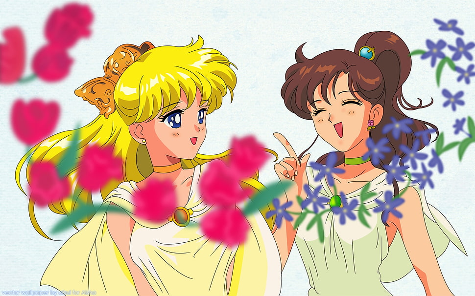 two Sailor Moon character illustrations HD wallpaper