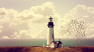white and black lighthouse painting, nature, landscape, architecture, building