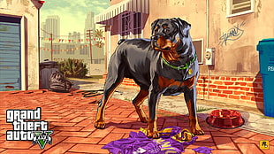 Grand Theft Auto V wallpaper, Grand Theft Auto V, dog, video games