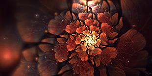 red petaled flower, abstract, blurred, fractal flowers, fractal