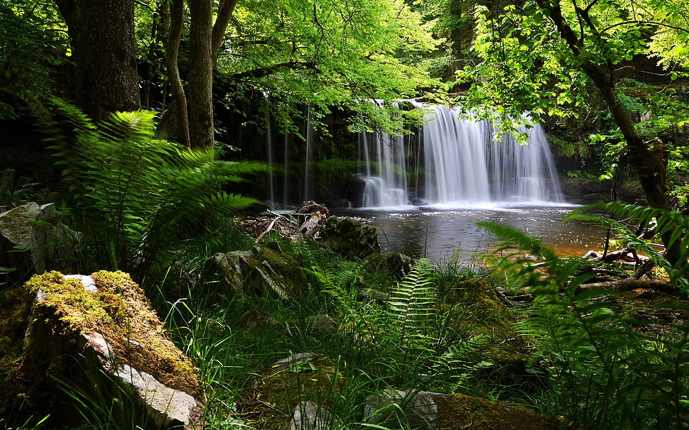 water falls illustration HD wallpaper