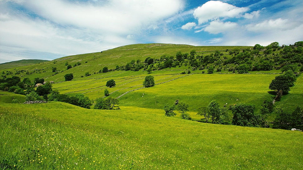 green mountain under blue sky HD wallpaper