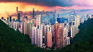 high-rise buildings illustration, cityscape, building, Hong Kong