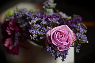 pink rose with purple flower arrangem,ent