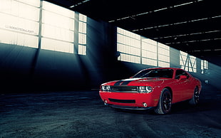 red coupe, car, red cars, sunlight, Dodge HD wallpaper