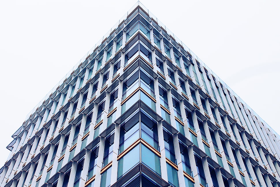 green and white high-rise building HD wallpaper