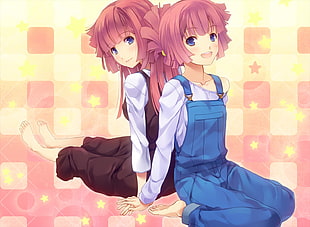 two pink haired anime characters HD wallpaper