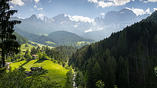 photo of green grass field surrounded by trees and glacier mountains under blue sky, italy, rosengarten