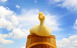 photography of yellow duck on top of brown barrel