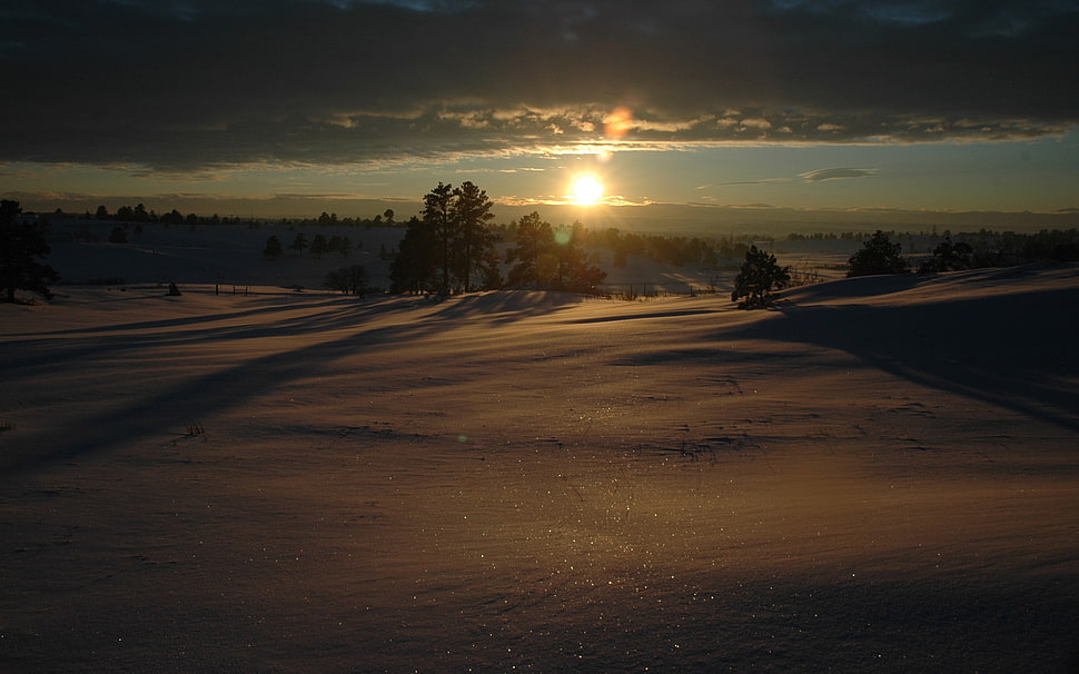 desert during sunrise HD wallpaper