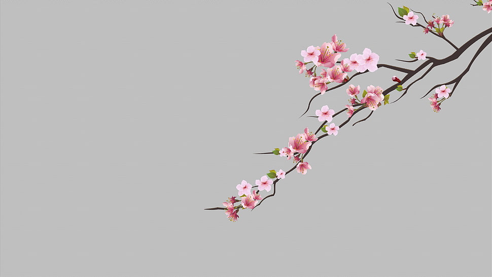 pink petaled flowers, cherry trees, cherry blossom, minimalism, dots HD wallpaper