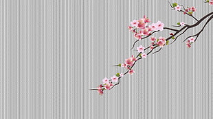 pink petaled flowers, cherry trees, cherry blossom, minimalism, dots HD wallpaper