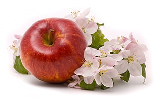 red apple and white flowers
