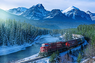 red train on rail photography