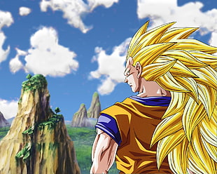 Dragonball Z Super Saiyan Son Goku, Dragon Ball Z, Son Goku, Super Saiyan 3, anime boys HD wallpaper