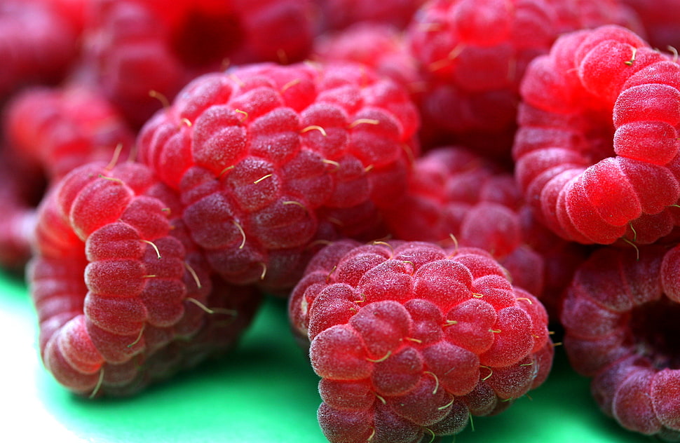 raspberries HD wallpaper
