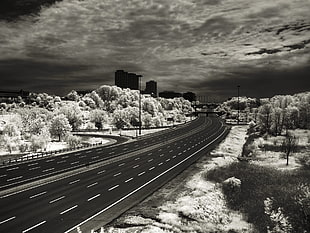 highway road gray scale photo shot during daylight