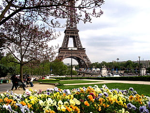 Eiffel tower photo HD wallpaper