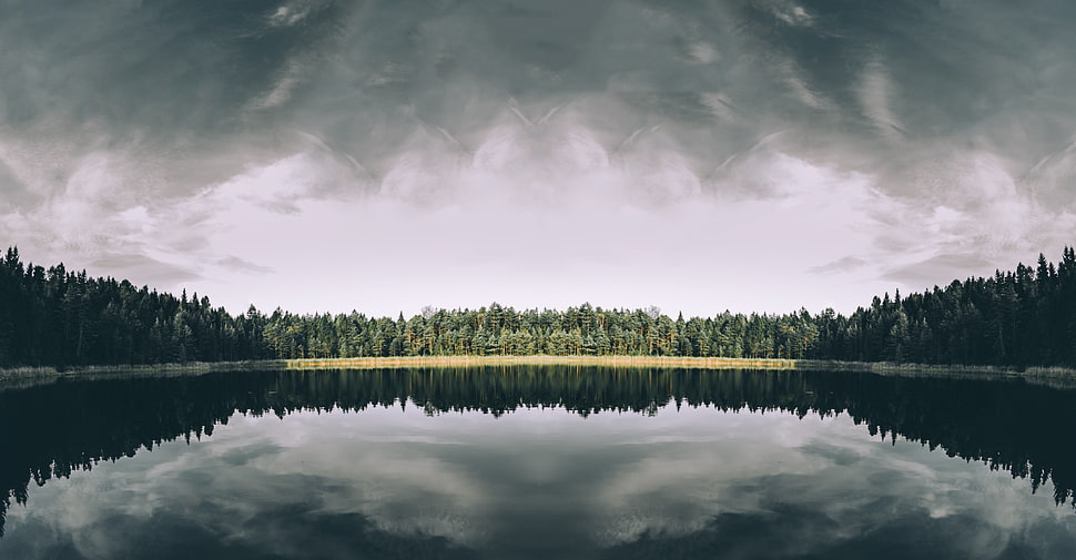 lake view, Lake, Trees, Reflection HD wallpaper