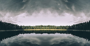 lake view, Lake, Trees, Reflection