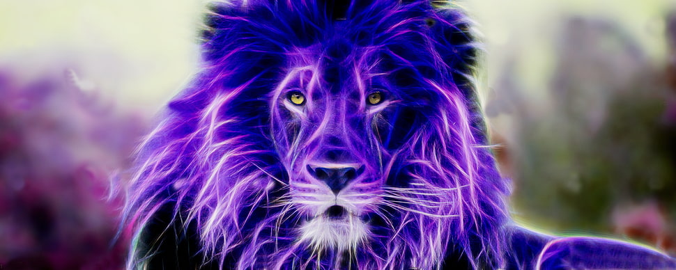 purple lion, lion, colorful, Fractalius HD wallpaper