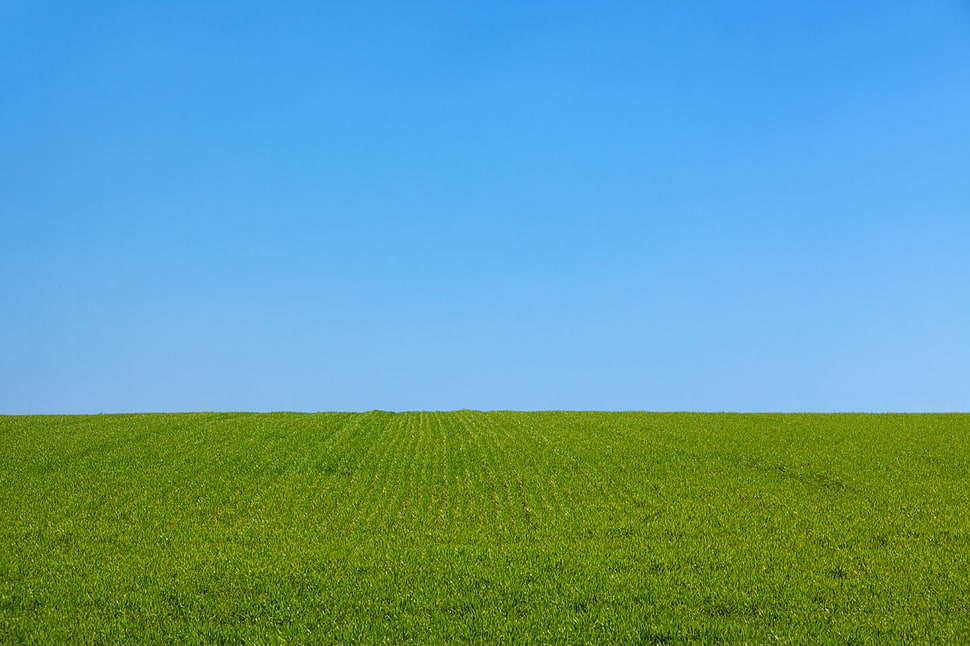 green grass field, blue, field, grass, green HD wallpaper