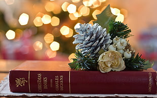 white petaled flower on top of Christmas Books by Charles Dickens book