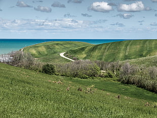 landscape view of green grass field during daytime HD wallpaper