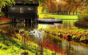 black wooden house, lake, boat, river, water