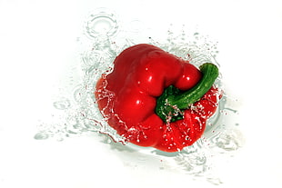 red bell pepper in close-up photography HD wallpaper