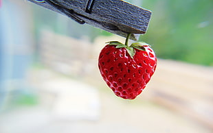 selective focus photography of strawberry on clip
