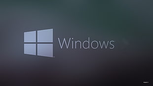 Windows logo digital wallpaper, Windows 10 HD wallpaper