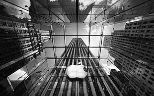 gray metal structure, New York City, monochrome, Apple Inc., building