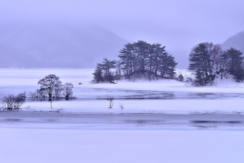 snow theme painting, winter, landscape HD wallpaper
