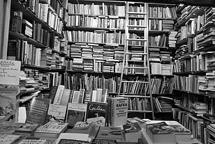 assorted-title book lot, Oscar Wilde, monochrome, books, Ernest Hemingway HD wallpaper