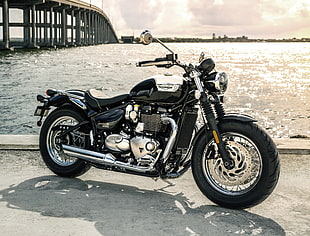 black and chrome cruiser motorcycle