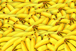 yellow bananas HD wallpaper