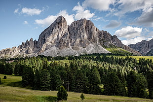 gray mountain, nature, trees, mountains, Italy HD wallpaper